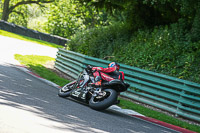 cadwell-no-limits-trackday;cadwell-park;cadwell-park-photographs;cadwell-trackday-photographs;enduro-digital-images;event-digital-images;eventdigitalimages;no-limits-trackdays;peter-wileman-photography;racing-digital-images;trackday-digital-images;trackday-photos